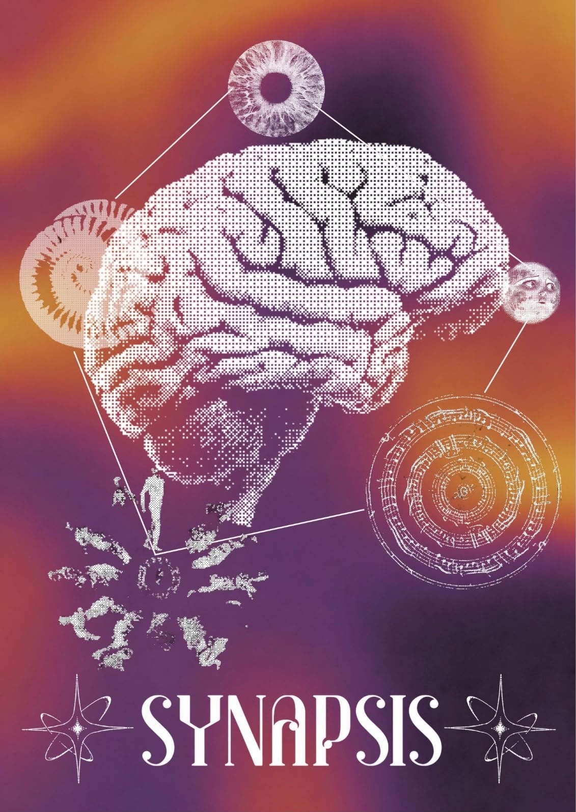Synapsis